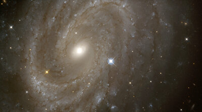 Variable Stars in a Distant Spiral Galaxy